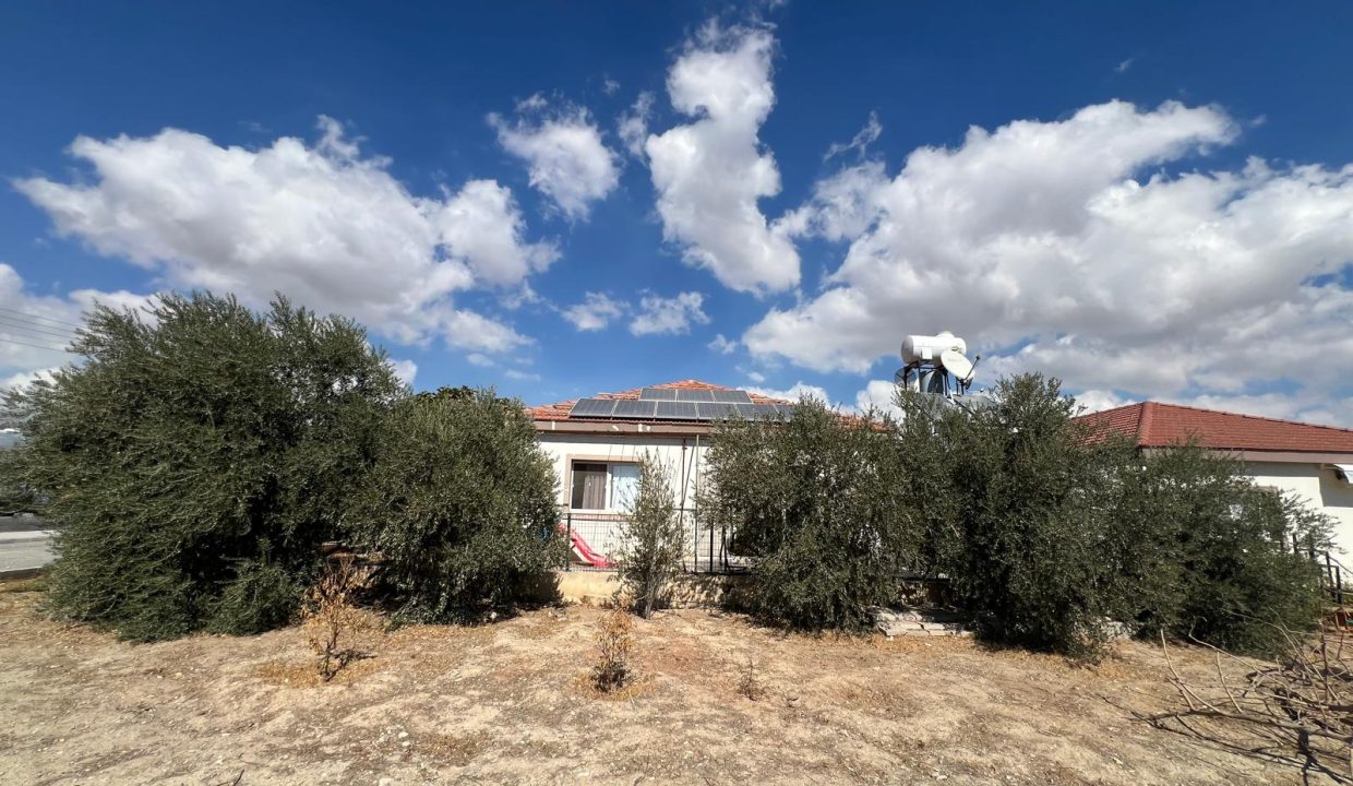 WhatsApp Image 2025-10-21 at 11.11.31